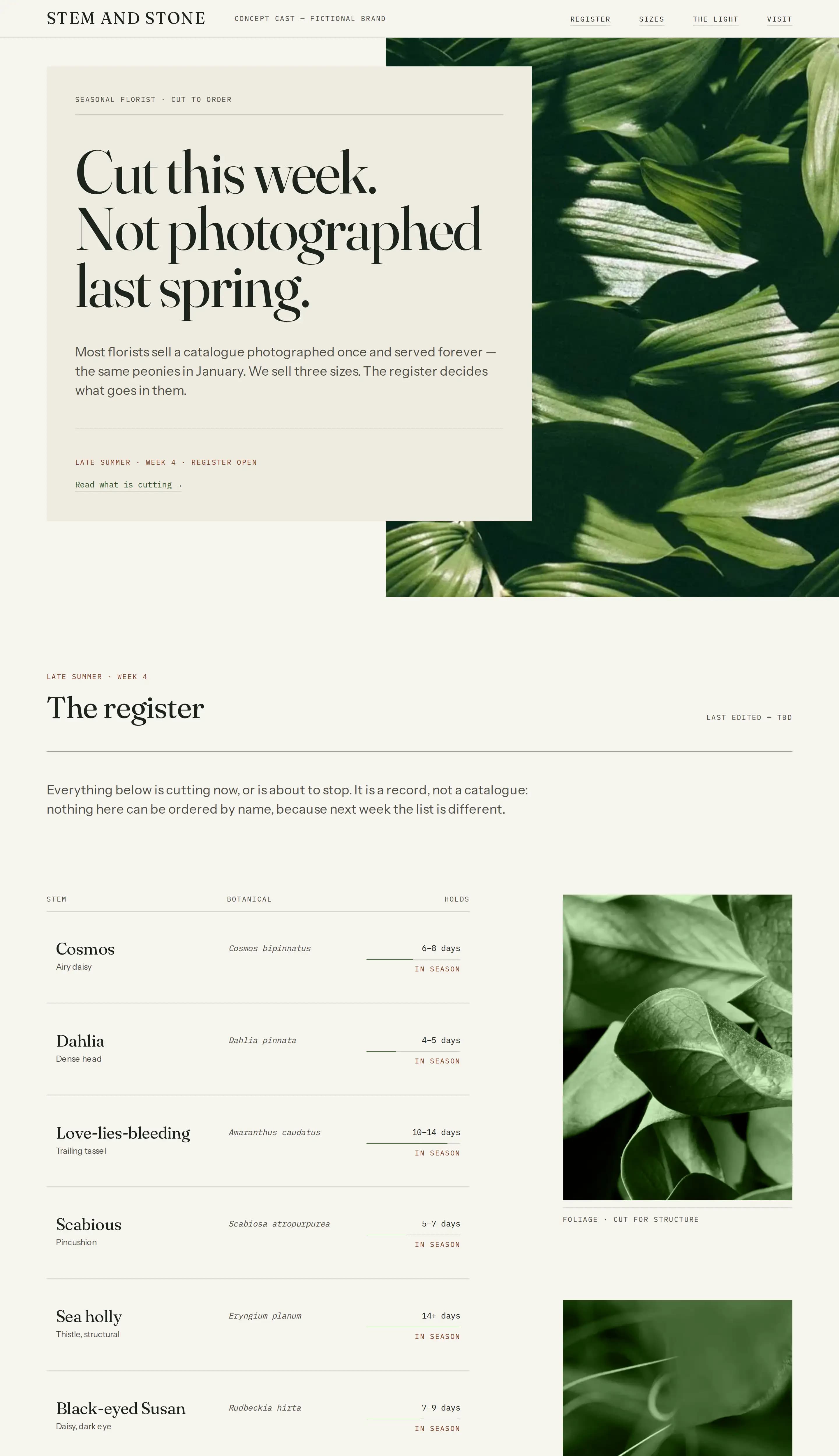 Stem And Stone template — florist website design